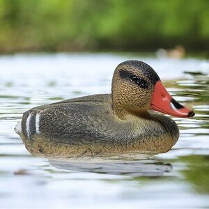 Vintage R.E Hornick 1979 Common Loon Wood Blank Decoy Kit Rare Find NWT